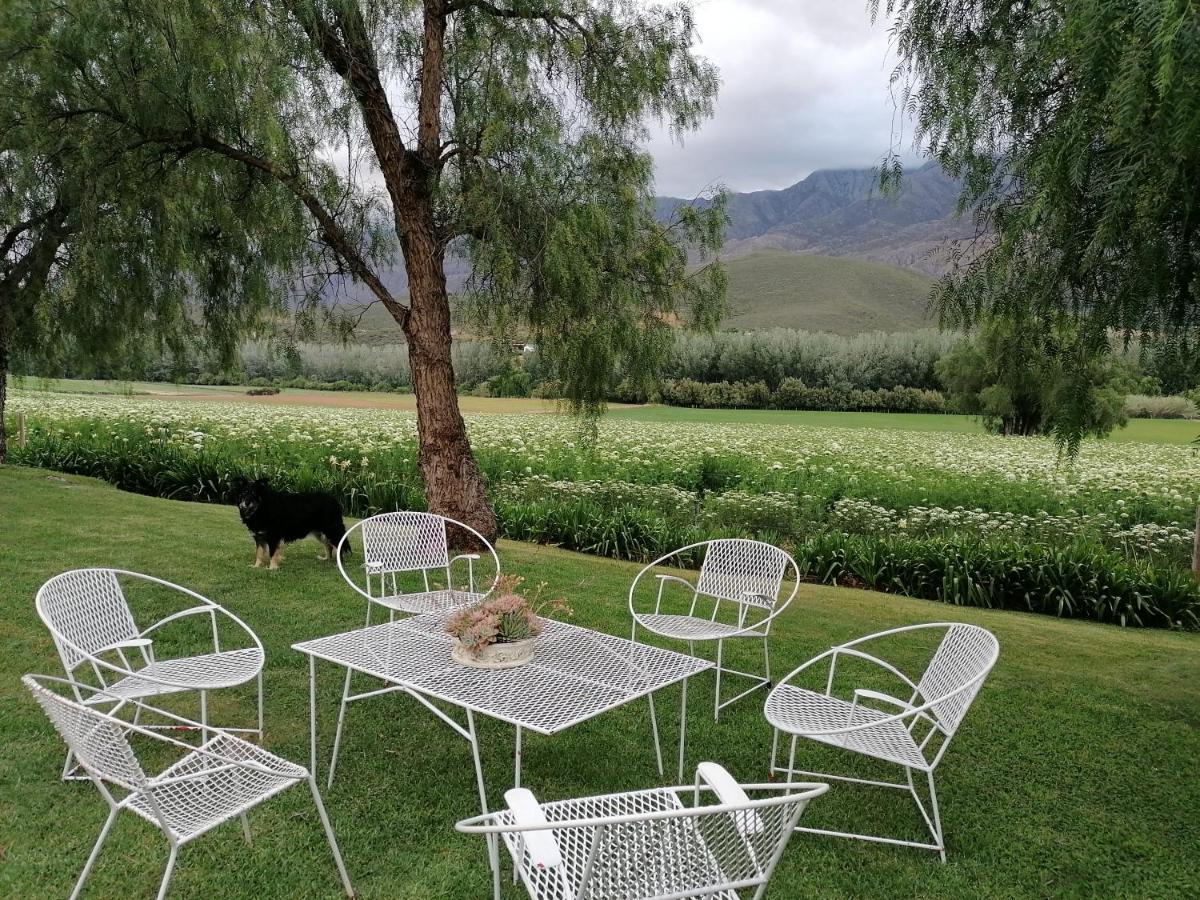 Bed and Breakfast Blue Lily Retreat Matjiesrivier  Exterior foto
