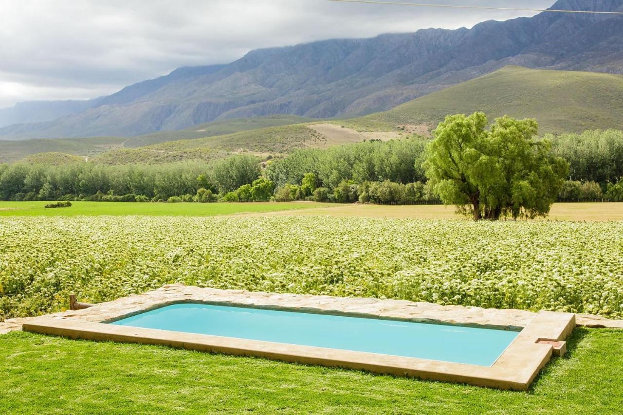 Bed and Breakfast Blue Lily Retreat Matjiesrivier  Exterior foto