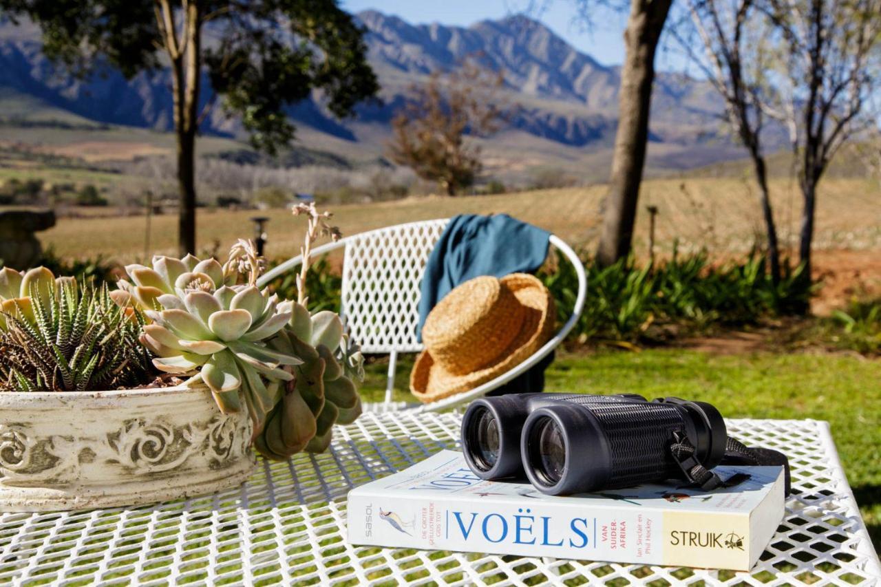 Bed and Breakfast Blue Lily Retreat Matjiesrivier  Exterior foto